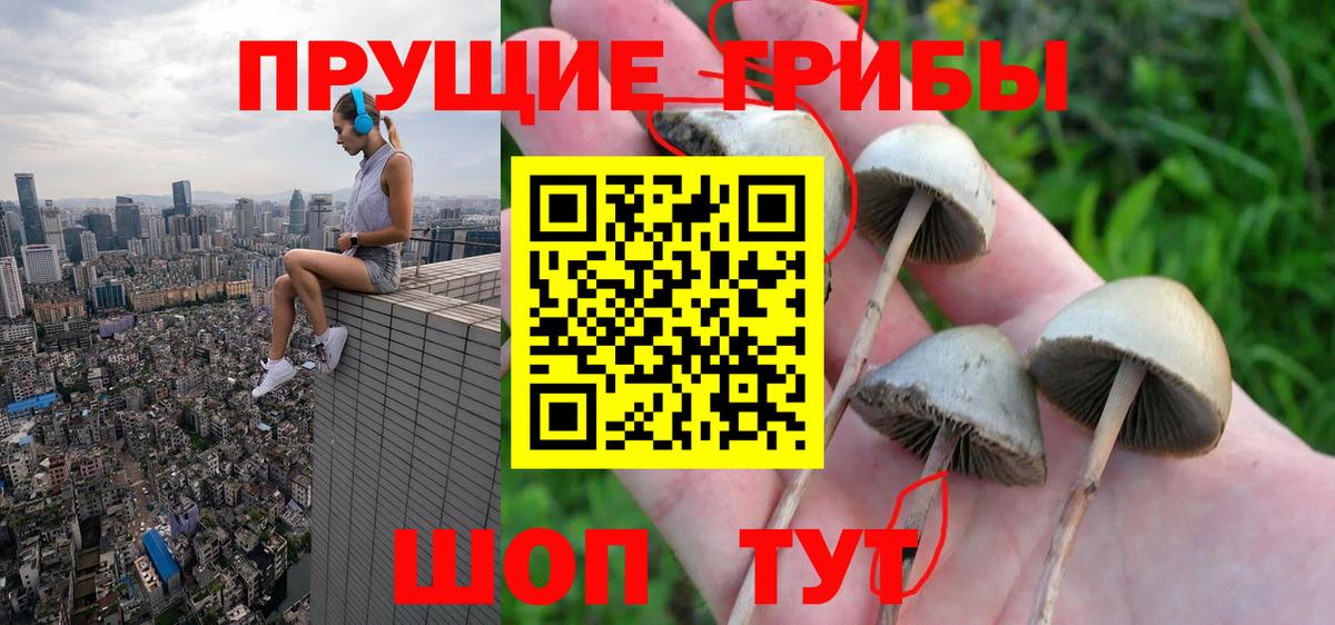 Псилоцибиновые грибы мухоморы Удомля