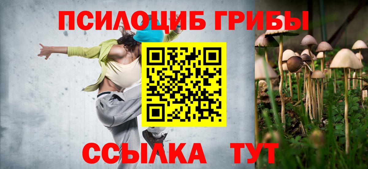 Галлюциногенные грибы MAGIC MUSHROOMS  дарнет шоп  Удомля  Вход с VPN 